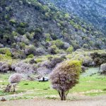 Samothraki